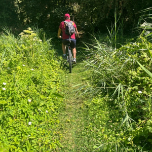 Dans l'objectif d'Hippolyte
