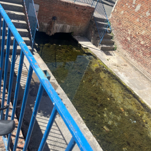 Dans l'objectif d'Hippolyte
