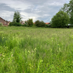Dans l'objectif d'Hippolyte