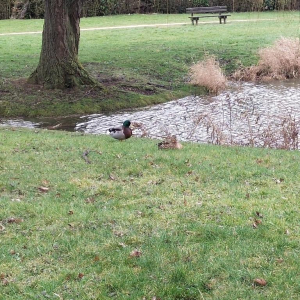 Dans l'objectif d'Hippolyte