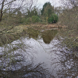 Dans l'objectif d'Hippolyte