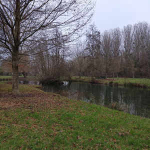 Dans l'objectif d'Hippolyte