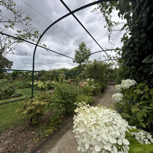 Du grabuge chez les dormeurs...