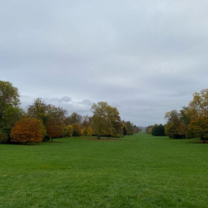 Du grabuge chez les dormeurs...