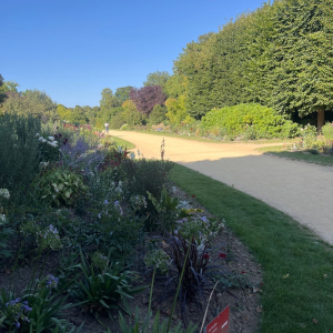 Du grabuge chez les dormeurs...