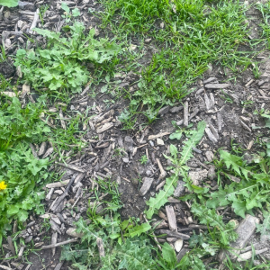 Du grabuge chez les dormeurs...