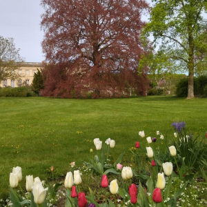 Du grabuge chez les dormeurs...