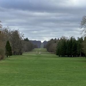 Du grabuge chez les dormeurs...