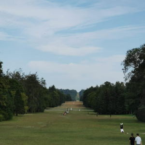 Du grabuge chez les dormeurs...