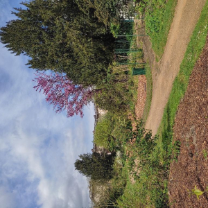 Du grabuge chez les dormeurs...