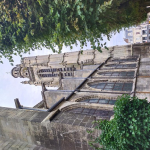 Du grabuge chez les dormeurs...