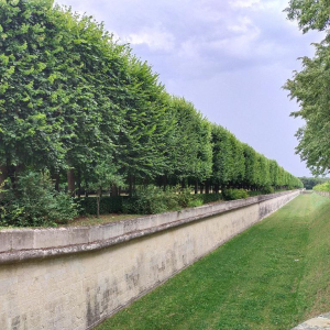 Du grabuge chez les dormeurs...