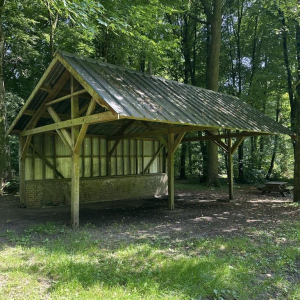 En vert et contre tout