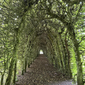 En vert et contre tout