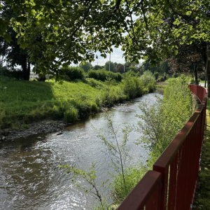 En vert et contre tout