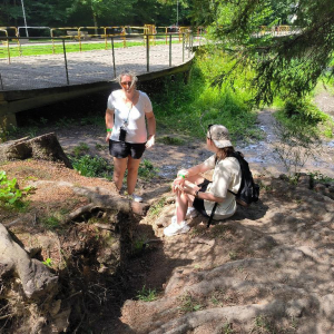 En vert et contre tout