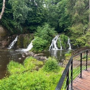 En vert et contre tout