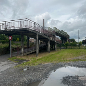 En vert et contre tout