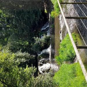 En vert et contre tout