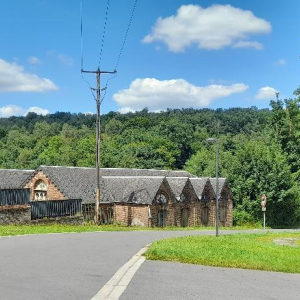 En vert et contre tout