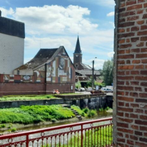 En vert et contre tout