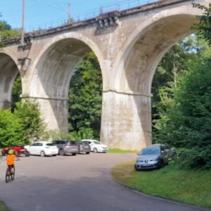 En vert et contre tout