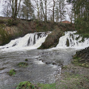 En vert et contre tout