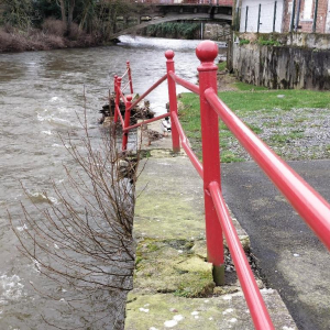 En vert et contre tout