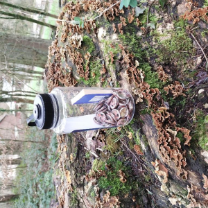 En vert et contre tout