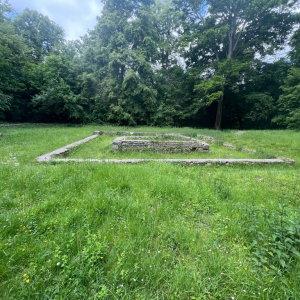 La petite reine des bois