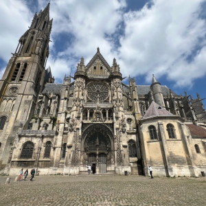 La petite reine des bois