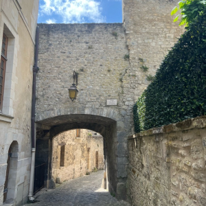 La petite reine des bois