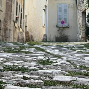 La petite reine des bois