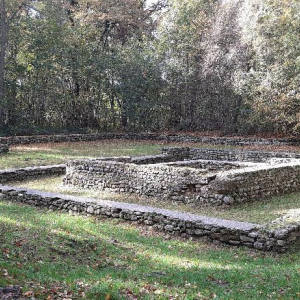 La petite reine des bois