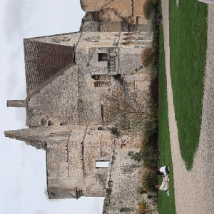 La petite reine des bois