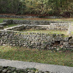 La petite reine des bois