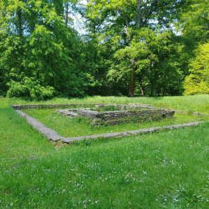 La petite reine des bois