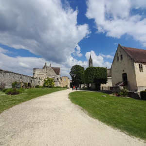 La petite reine des bois