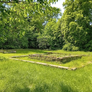 La petite reine des bois