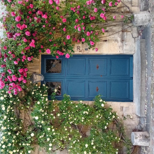 La petite reine des bois