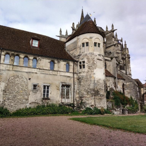 La petite reine des bois