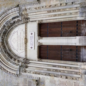 La petite reine des bois