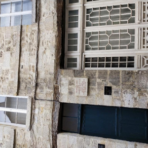 La petite reine des bois