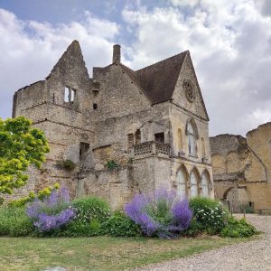La petite reine des bois