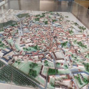 La petite reine des bois