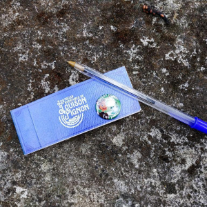 La petite reine des bois