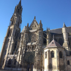 La petite reine des bois