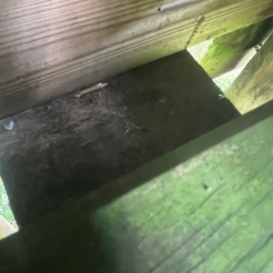 La Thiérache perd les pédales !