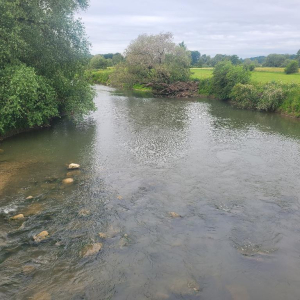 La Thiérache perd les pédales !