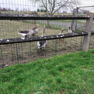 L’abbé ne fait pas le moine…